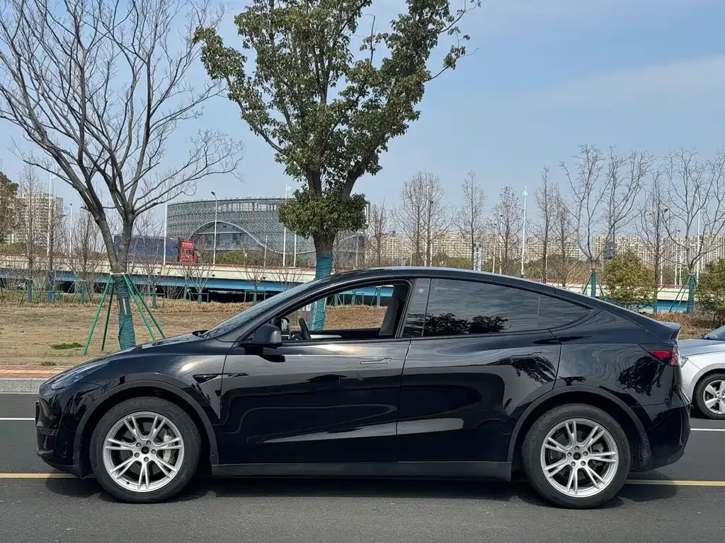 Tesla Model Y — фото 9