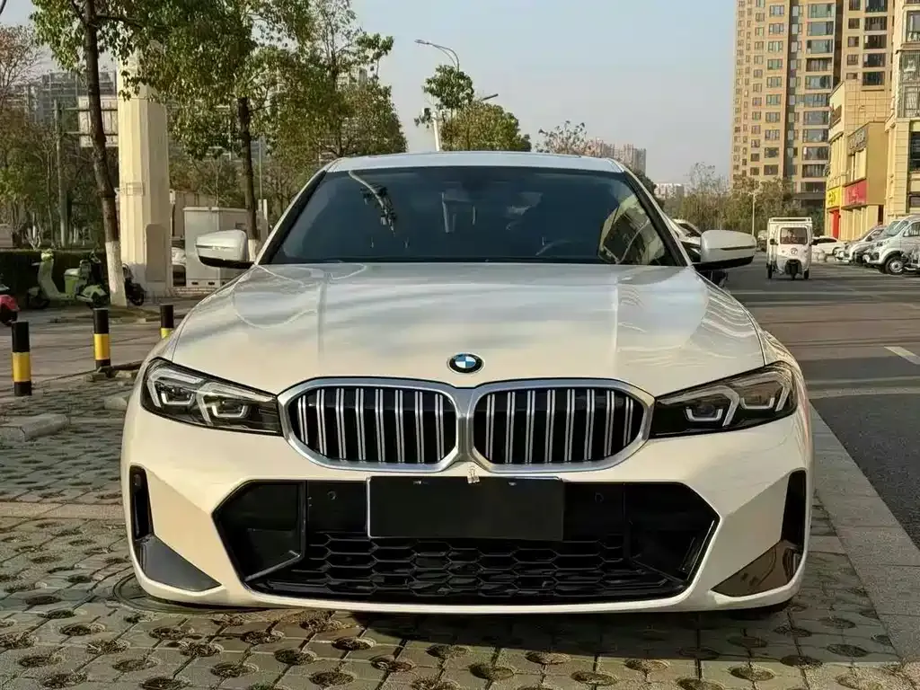 BMW 3 Series 2023 из CN, фото 7