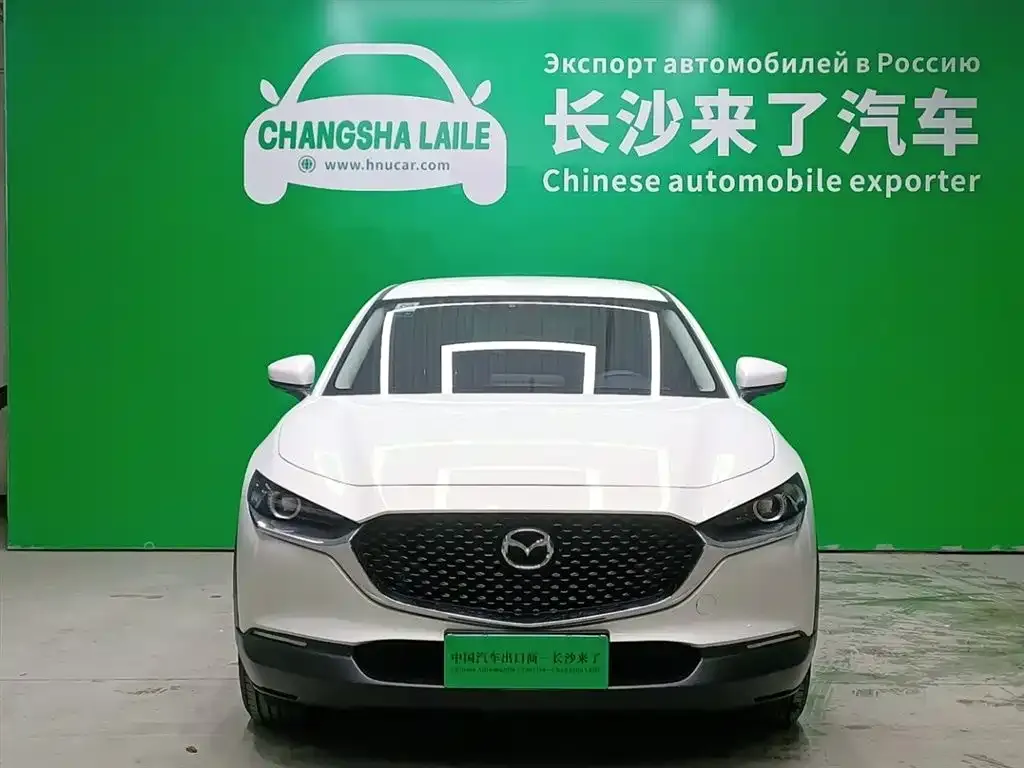 Mazda CX-30 2021 из CN, фото 2