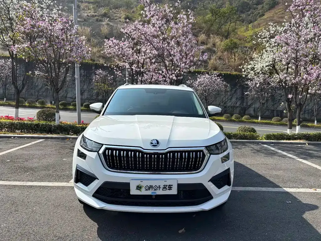 Skoda Kodiaq 2025 из CN, фото 5