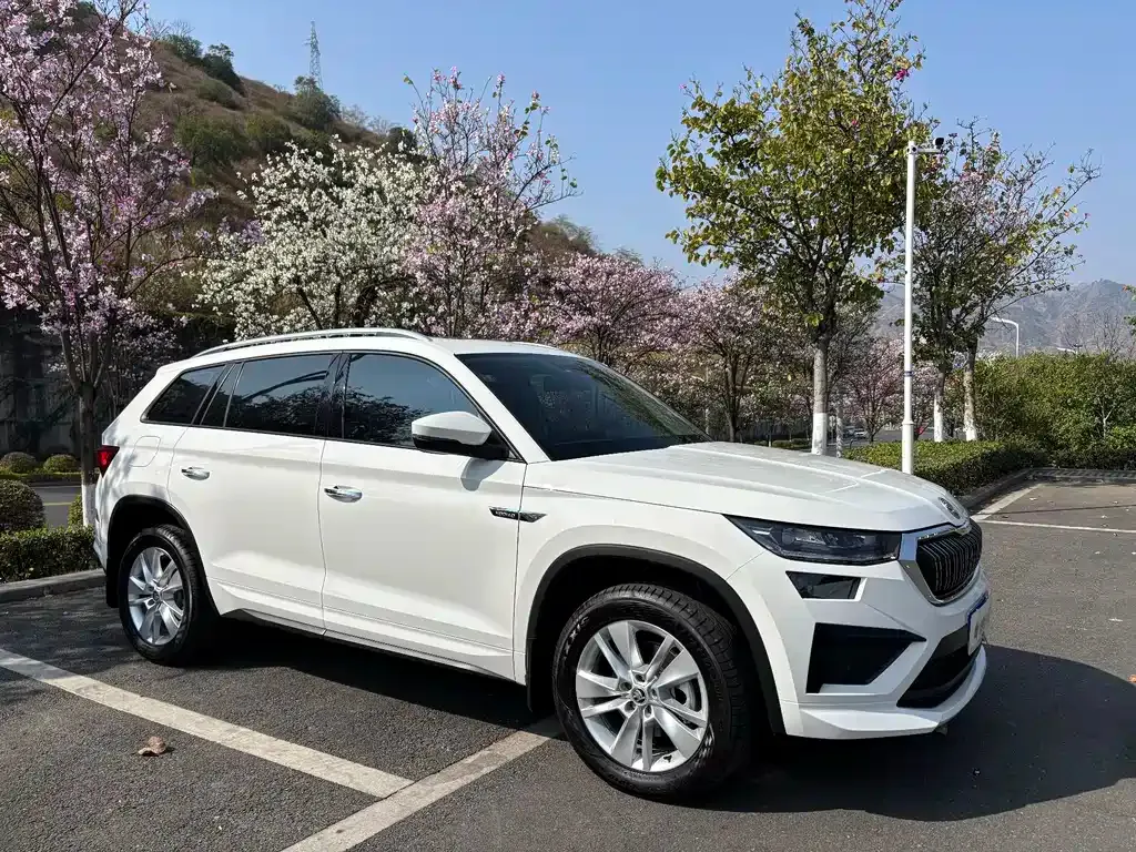 Skoda Kodiaq 2025 из CN, фото 10