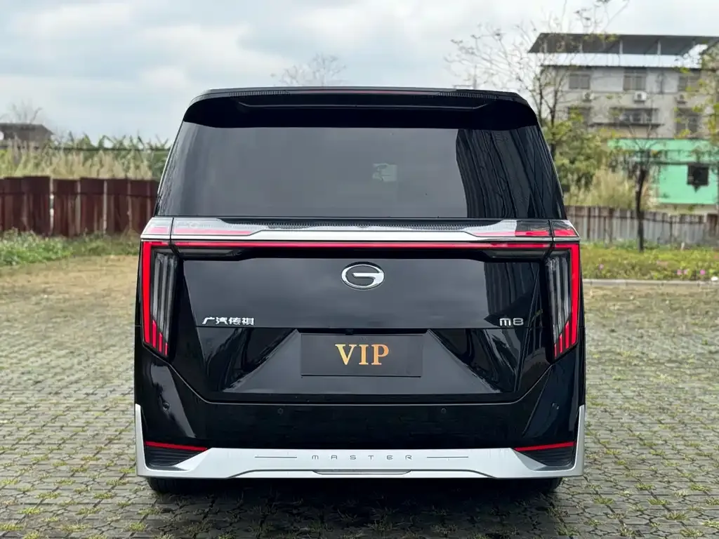 GAC Motor Trumpchi M8 2023 из CN, фото 8