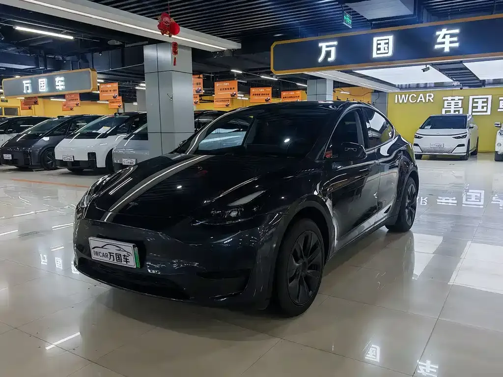 Tesla Model Y — фото 1