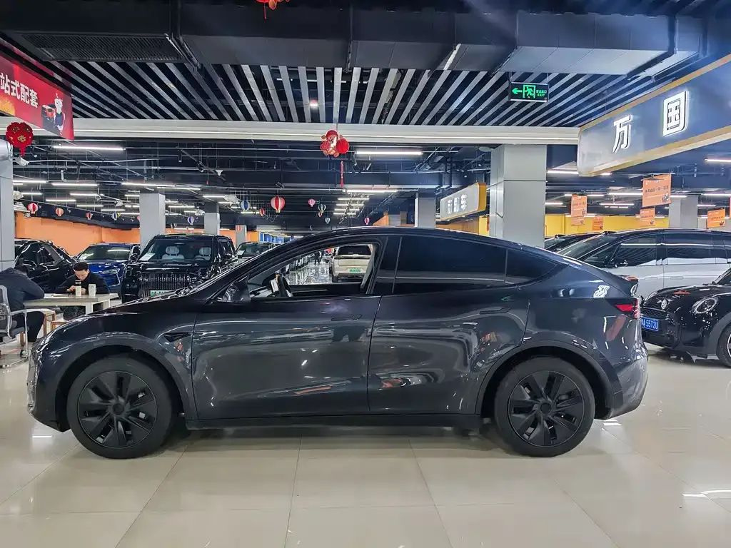Tesla Model Y — фото 8