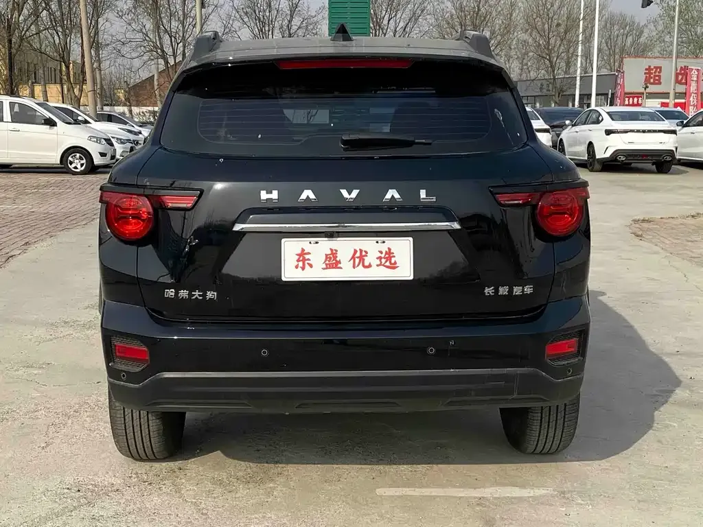 Haval H7 (Big Dog Plus) — фото 5