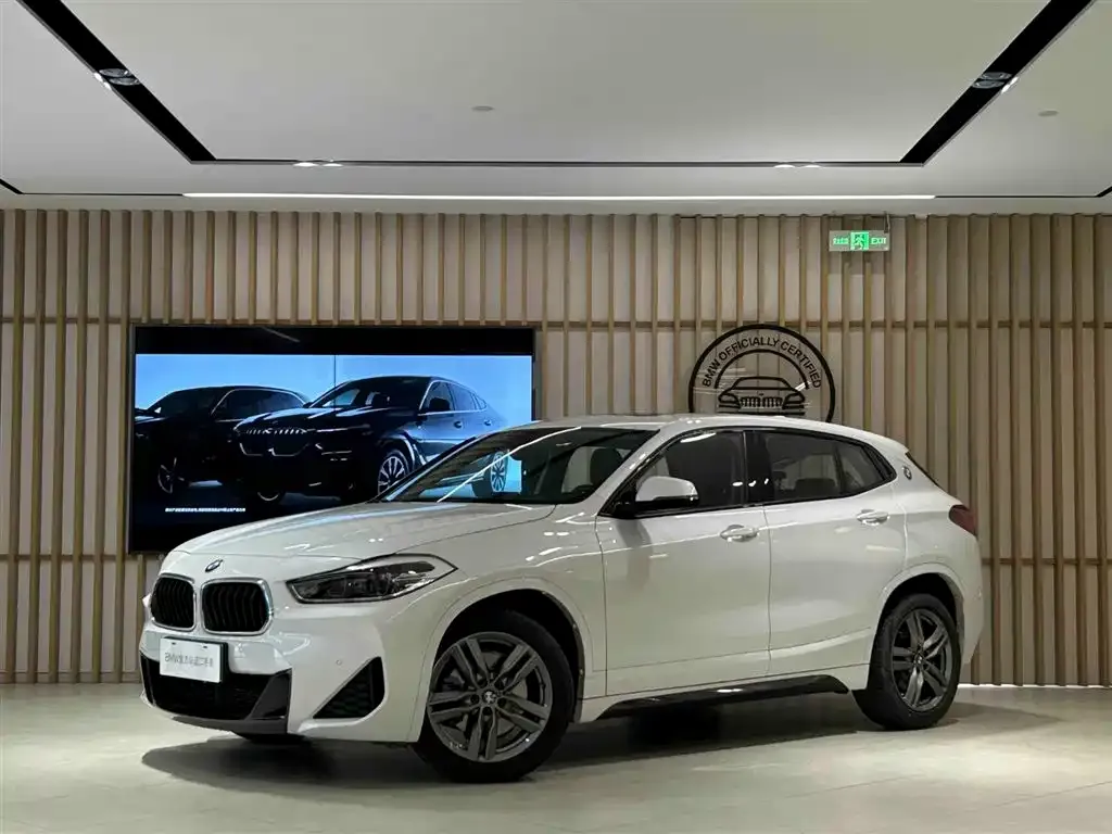 BMW X2 2022 из CN, фото 1