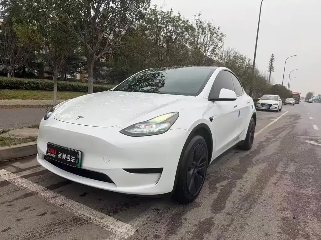 Tesla Model Y 2024 из CN, фото 1