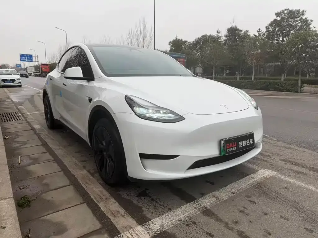 Tesla Model Y 2024 из CN, фото 6