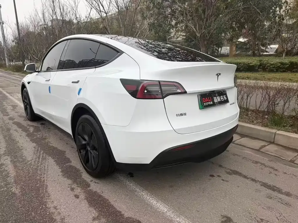Tesla Model Y 2024 из CN, фото 9