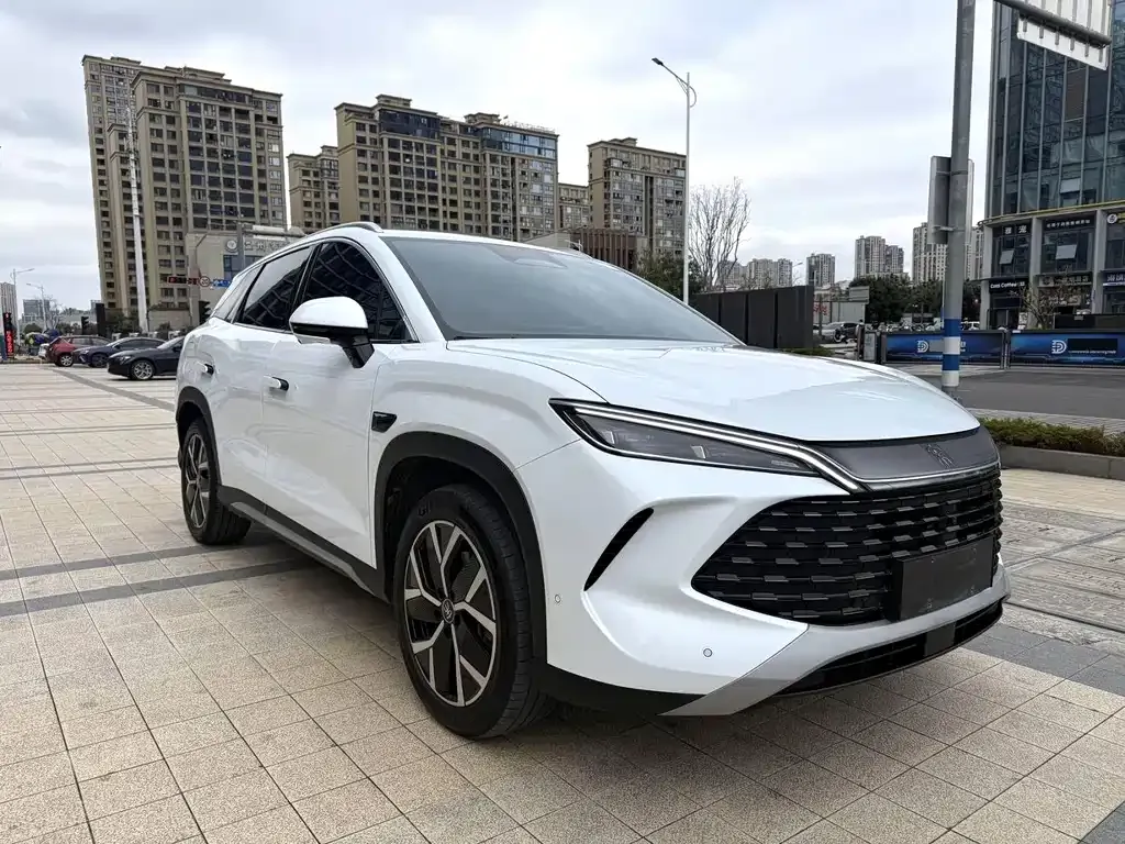 BYD L DM-i — фото 7