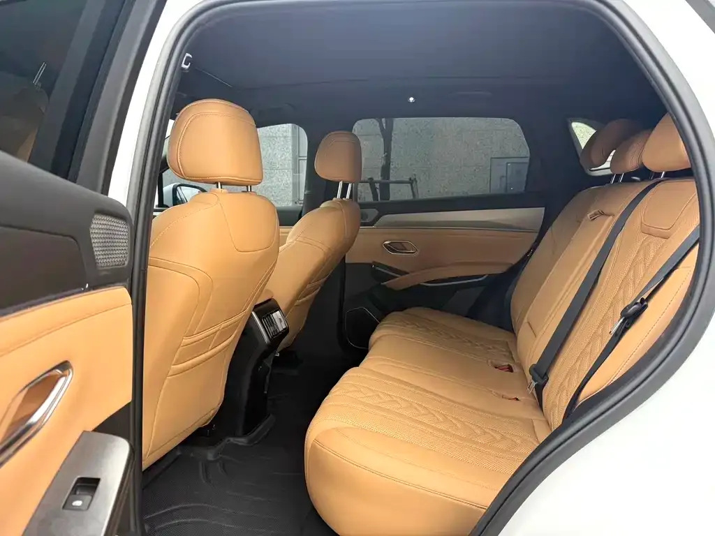 BYD L DM-i — фото 2