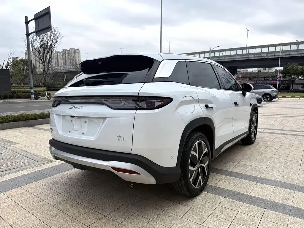 BYD L DM-i — фото 6
