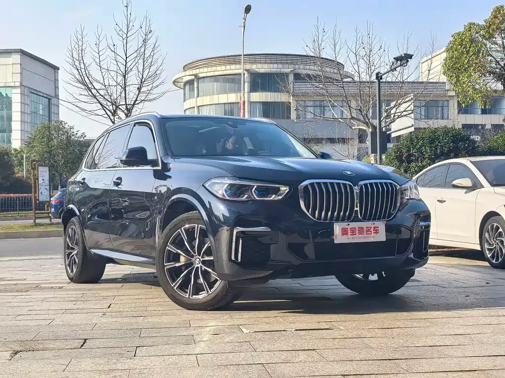 BMW X5 2023 из CN, фото 7