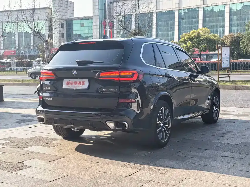 BMW X5 2023 из CN, фото 10