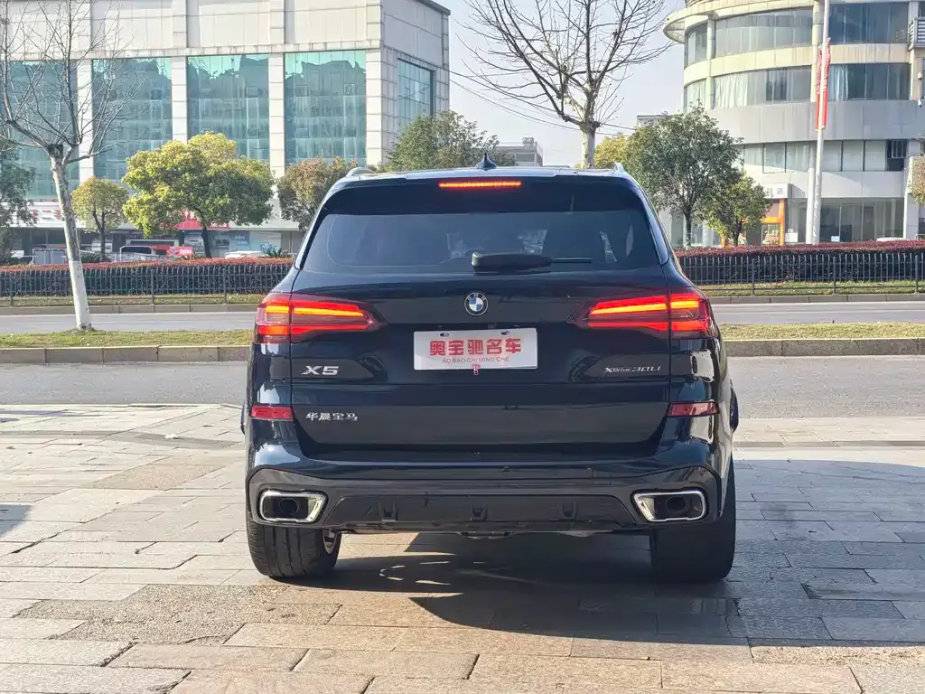 BMW X5 2023 из CN, фото 6