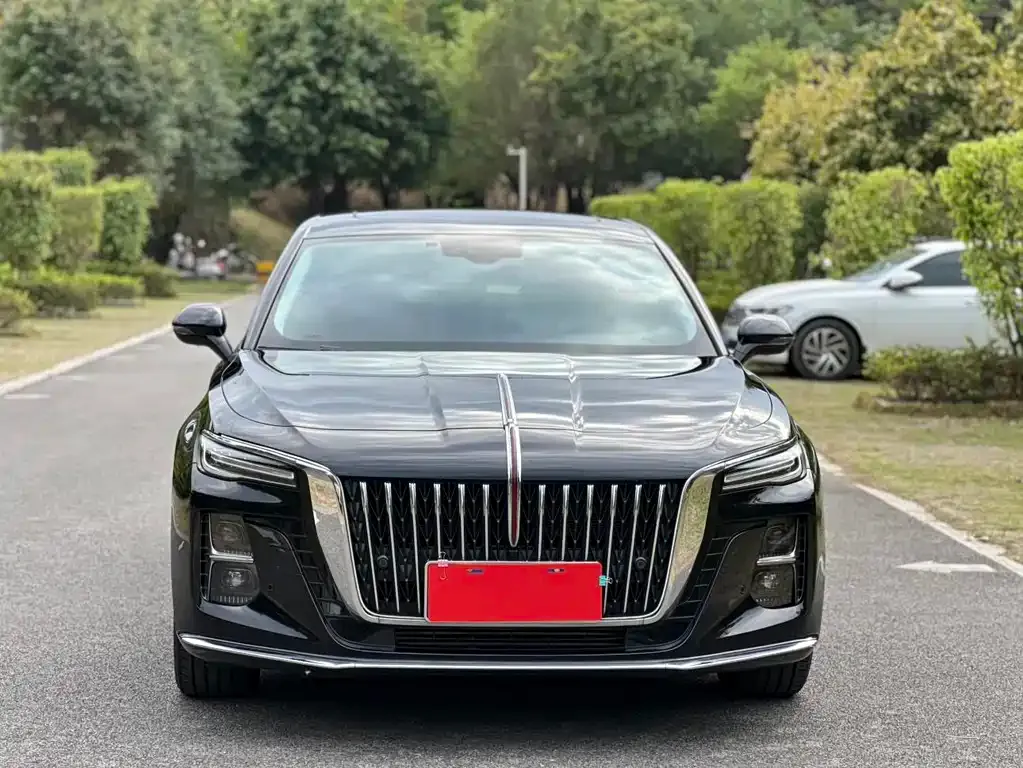 Hongqi H5 2023 из CN, фото 2