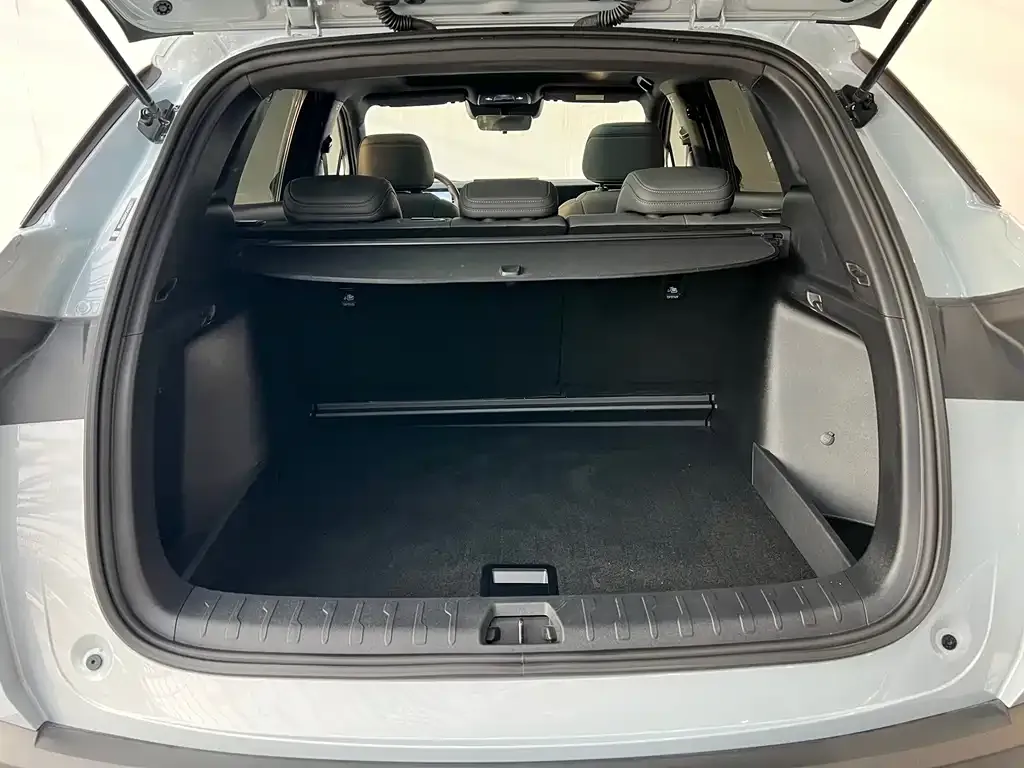 BYD L DM-i 2025 из CN, фото 2