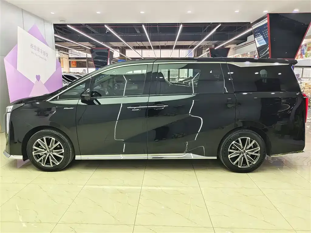 GAC Motor Trumpchi M8 2024 из CN, фото 4