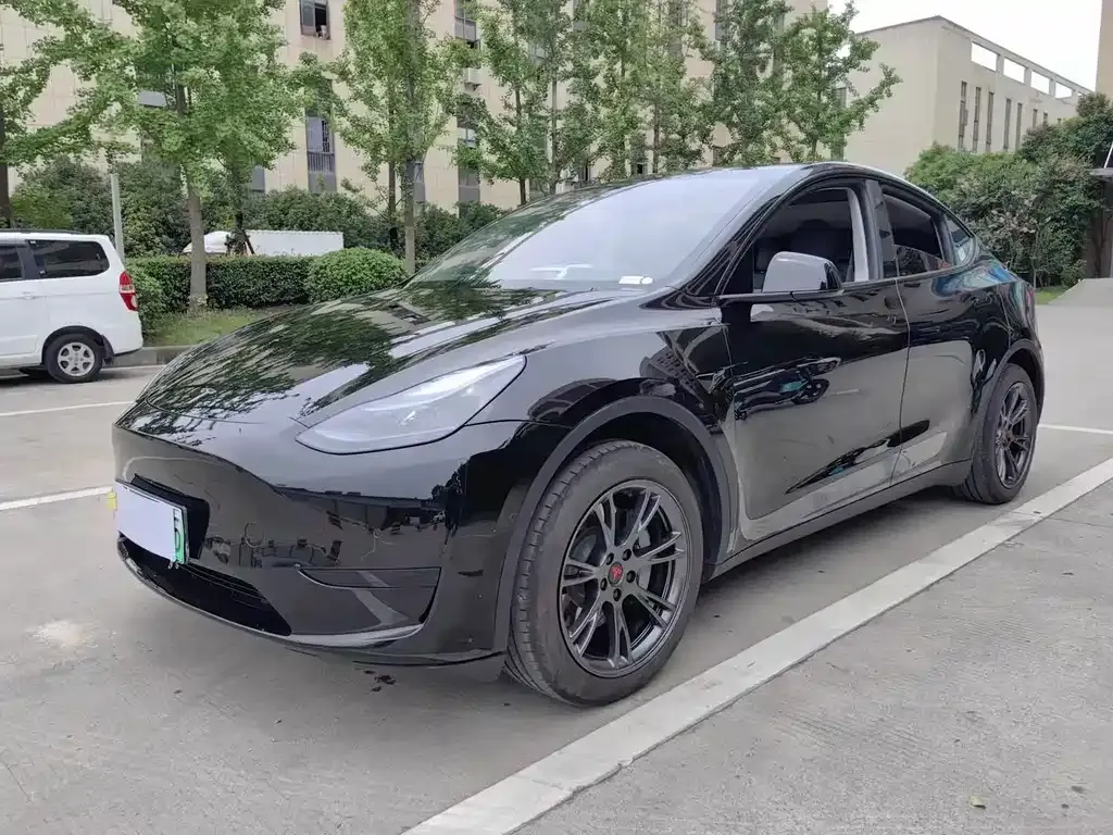 Tesla Model Y — фото 1