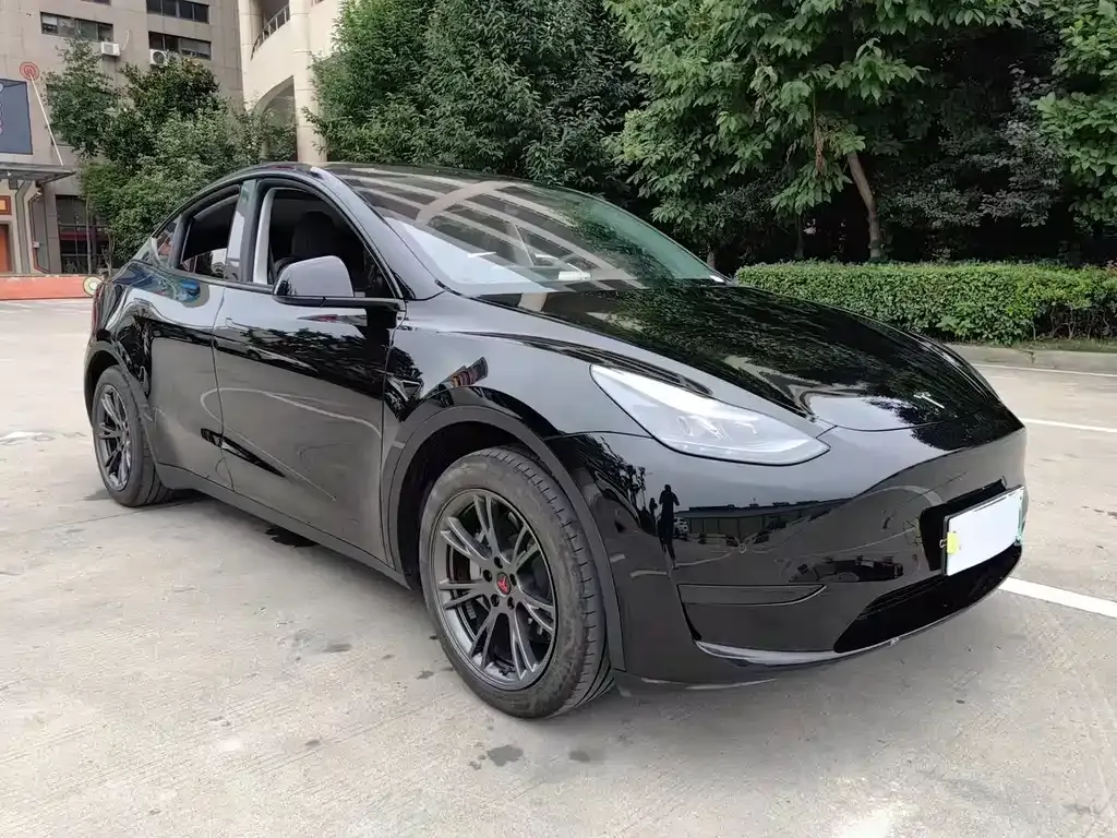 Tesla Model Y — фото 9