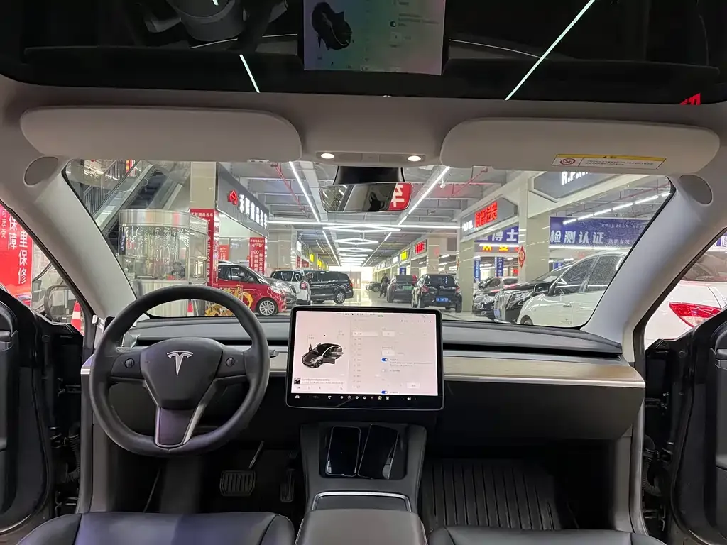 Tesla Model 3 2021 из CN, фото 5