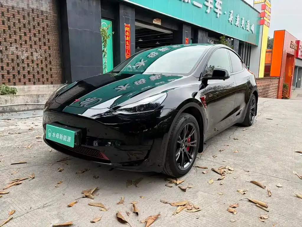 Tesla Model Y — фото 1