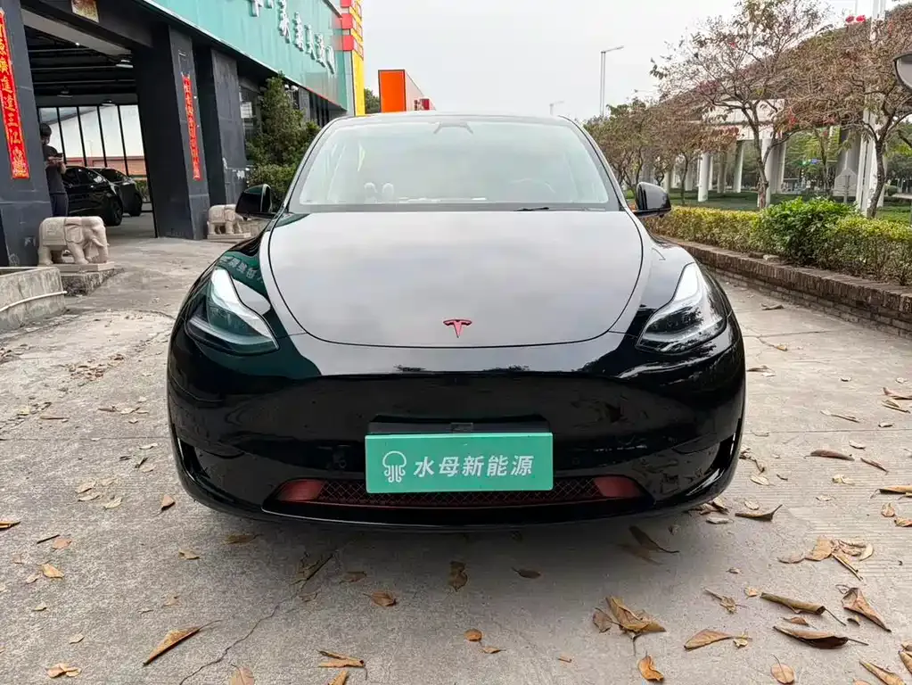 Tesla Model Y — фото 8