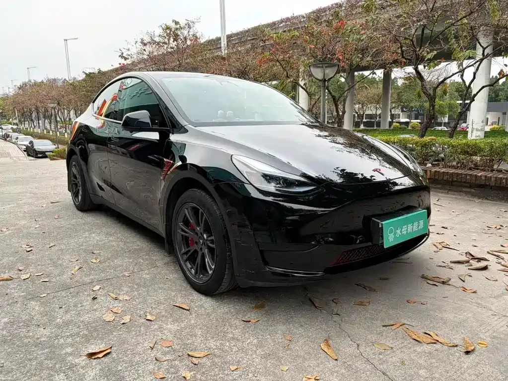 Tesla Model Y — фото 6