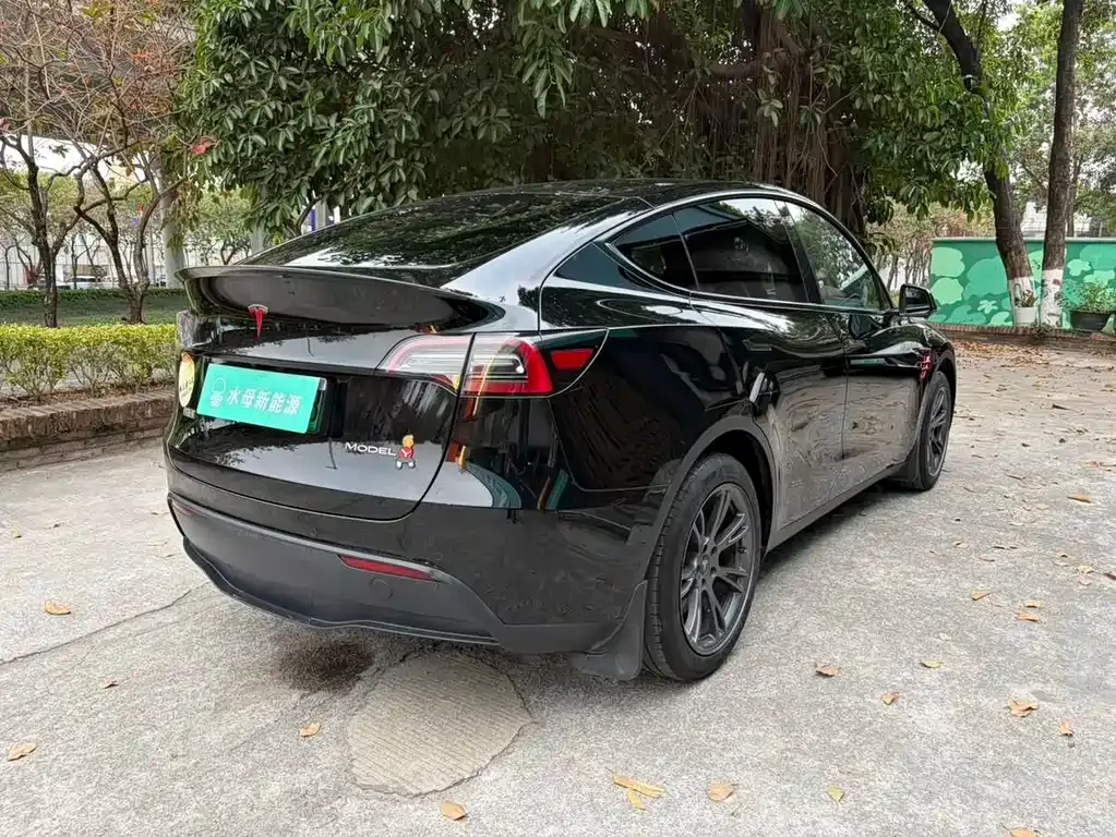 Tesla Model Y — фото 10
