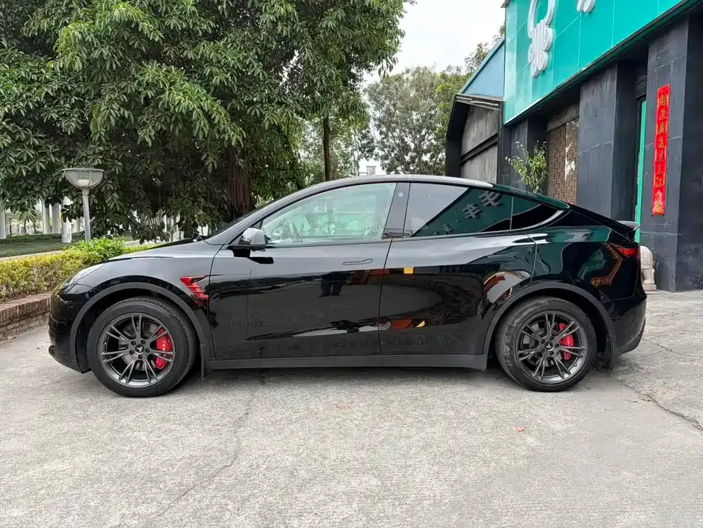 Tesla Model Y — фото 3