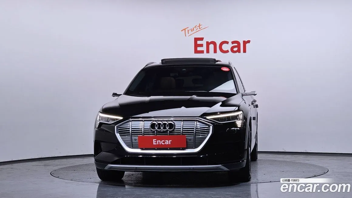 Audi e-tron 2021 из KR, фото 4