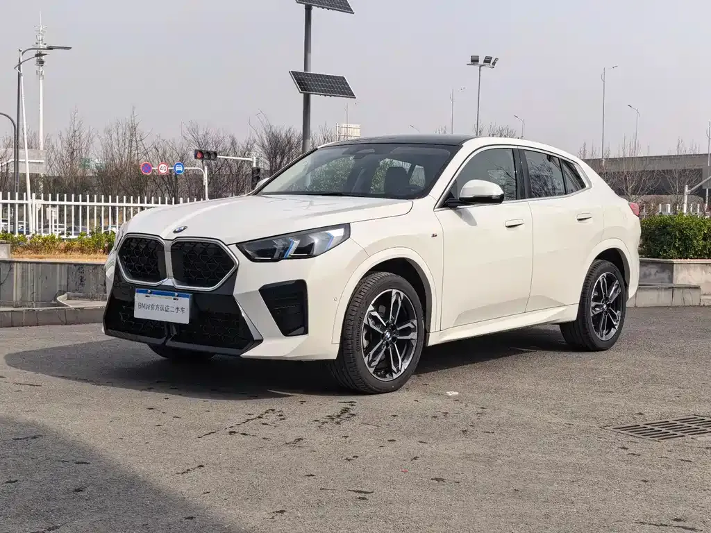 BMW X2 (Import) — фото 1
