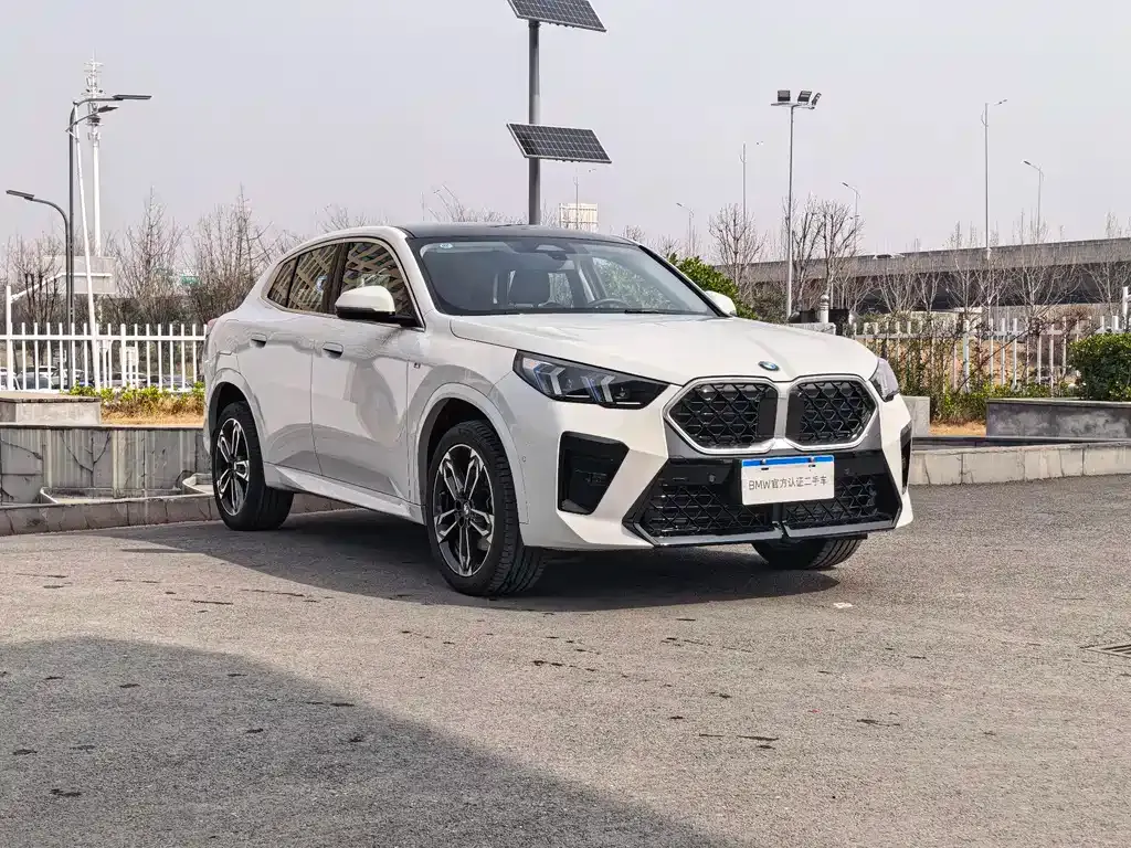 BMW X2 (Import) — фото 8