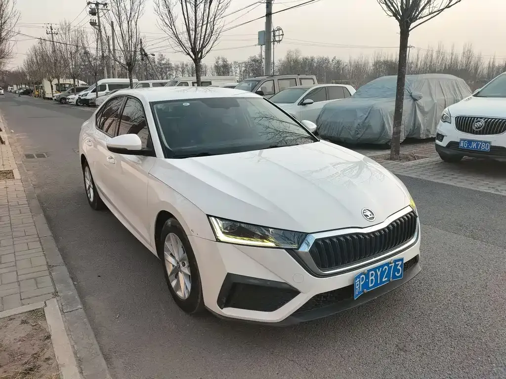 Skoda Octavia 2021 из CN, фото 6