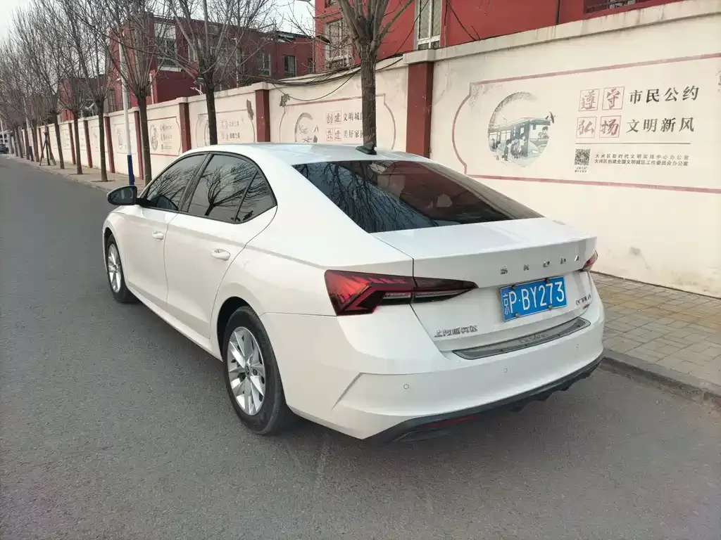 Skoda Octavia 2021 из CN, фото 3