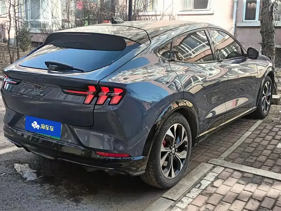 Ford Mustang Mach-E 2022 из CN, фото 8