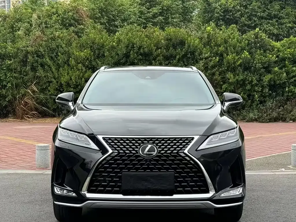 Lexus RX — фото 7