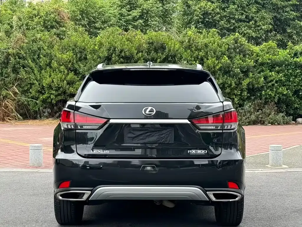 Lexus RX — фото 9