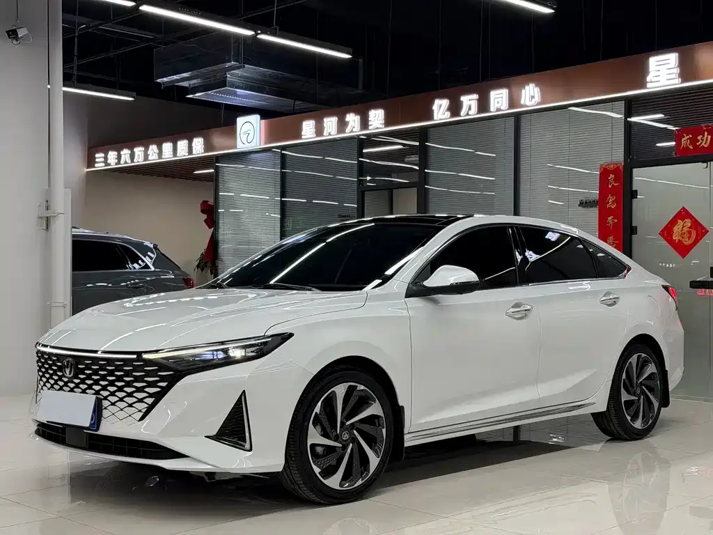 Changan Ruicheng PLUS 2023 из CN, фото 1