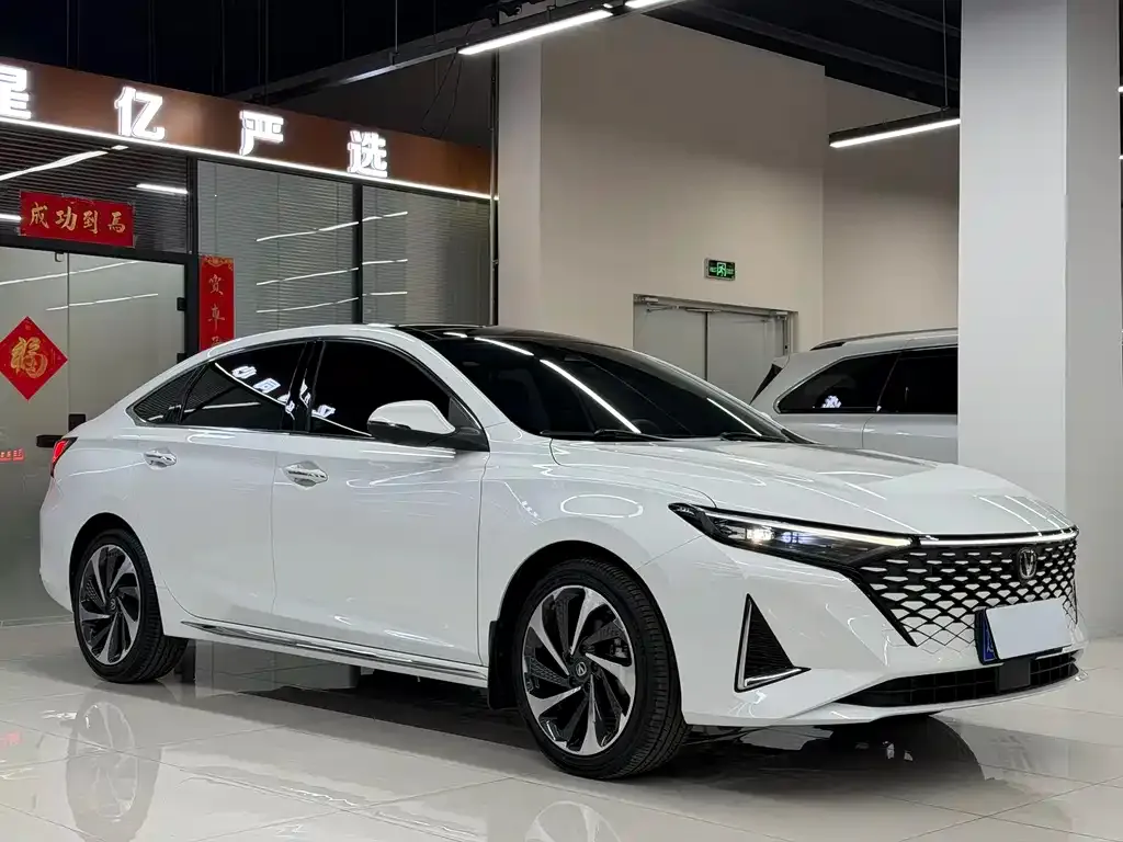 Changan Ruicheng PLUS 2023 из CN, фото 6