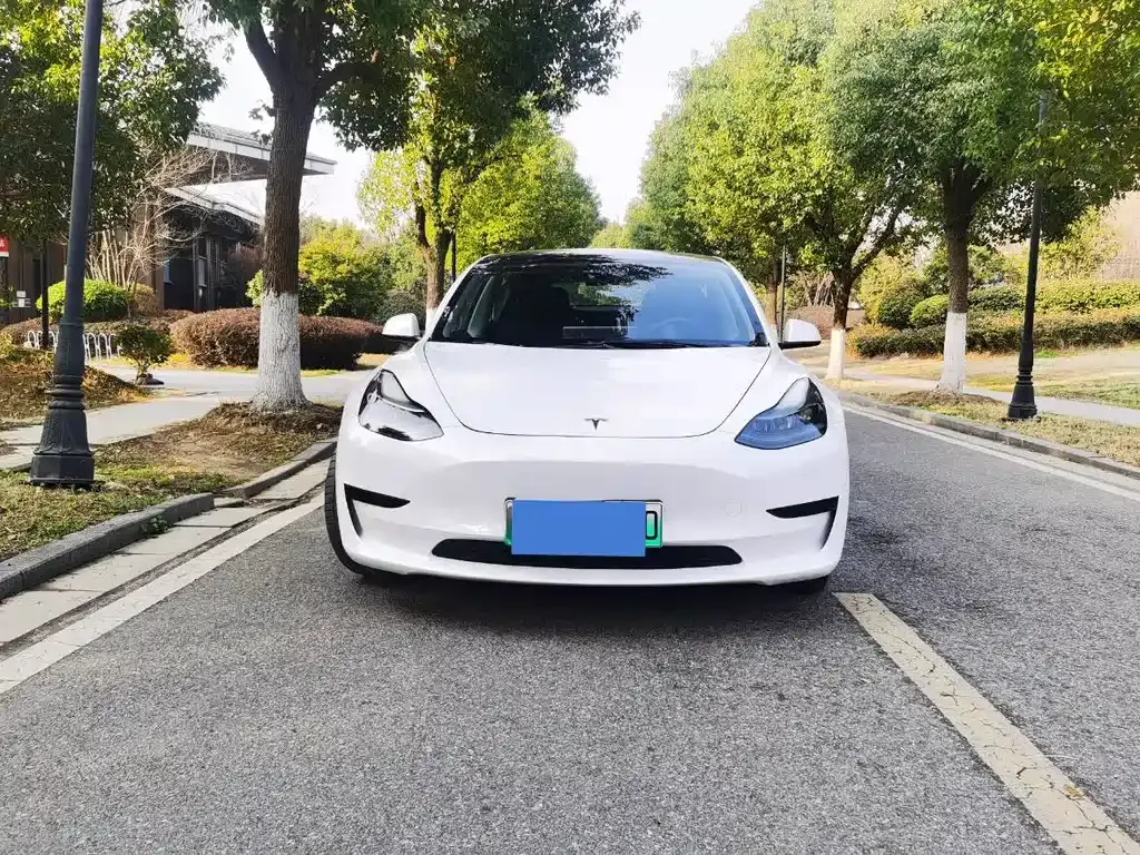 Tesla Model 3 — фото 1