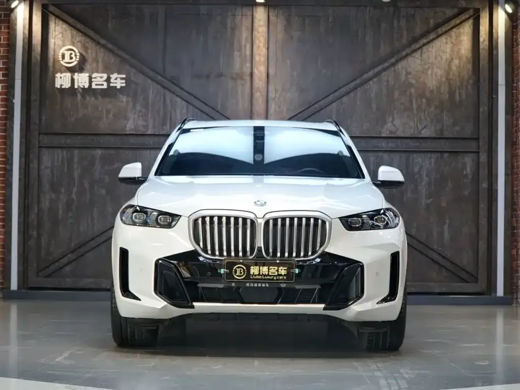 BMW X5 2024 из CN, фото 6