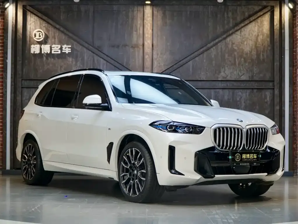 BMW X5 2024 из CN, фото 8