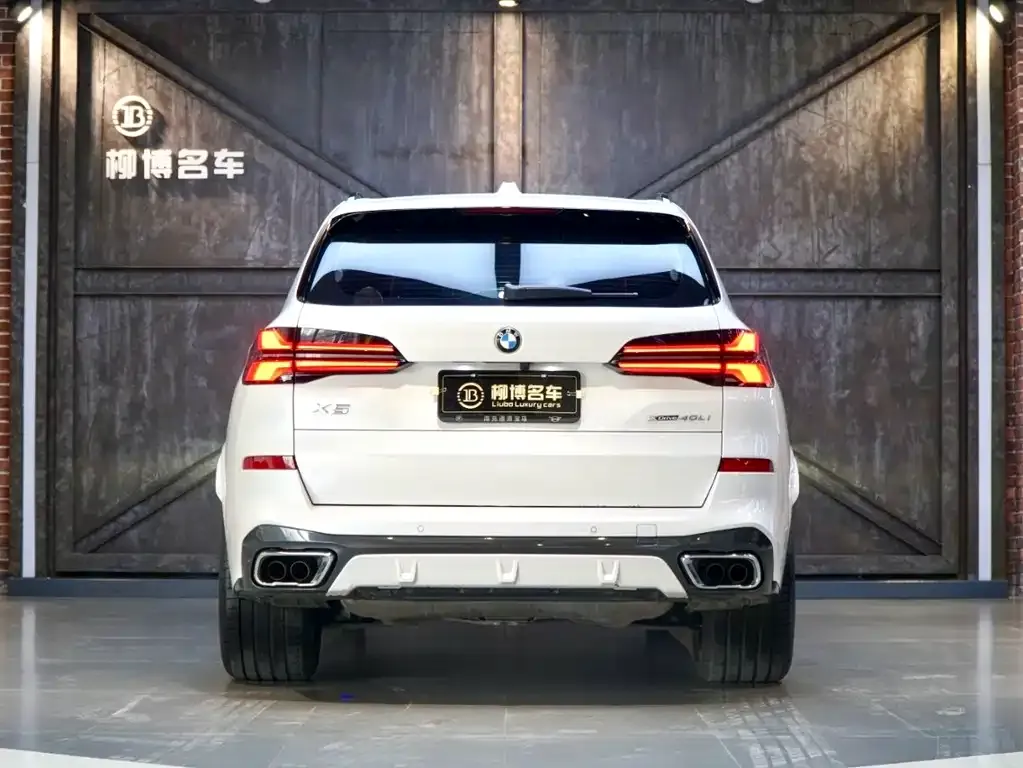 BMW X5 2024 из CN, фото 2