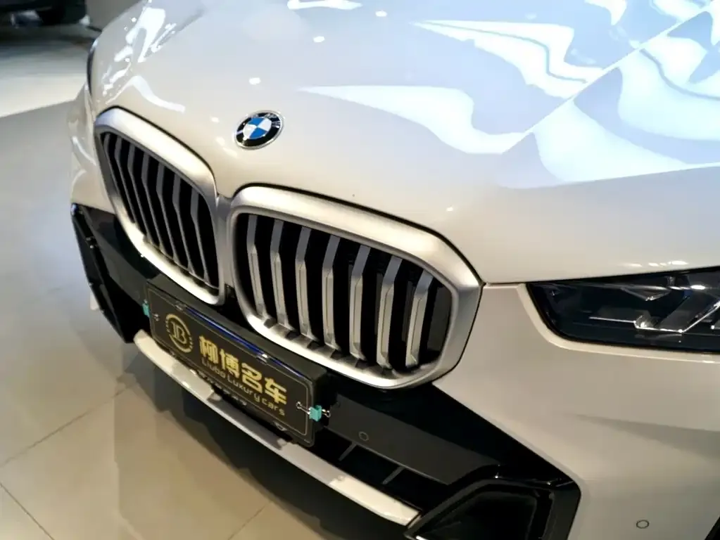 BMW X5 2024 из CN, фото 4