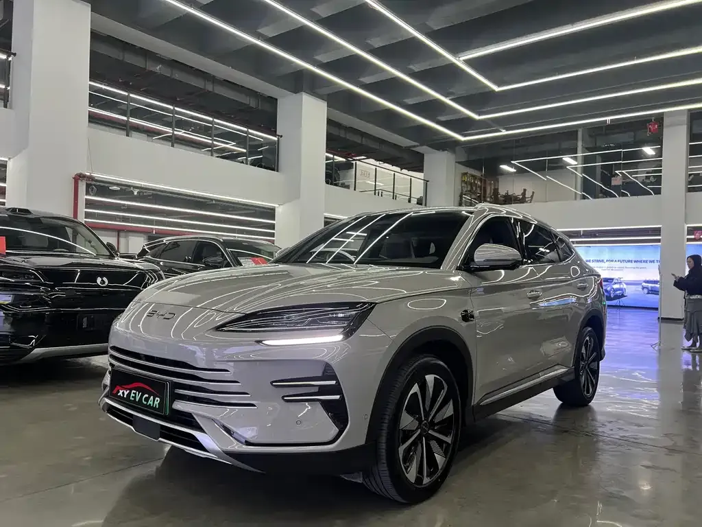BYD PLUS New Energy — фото 1