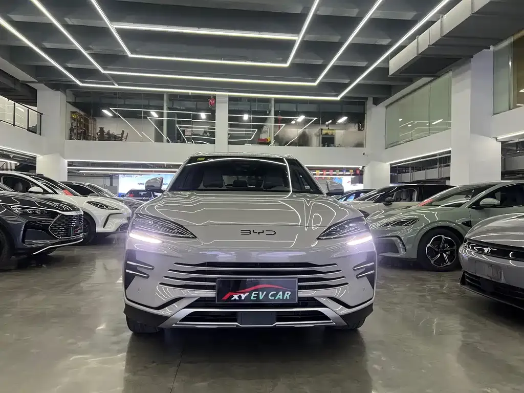 BYD PLUS New Energy — фото 6
