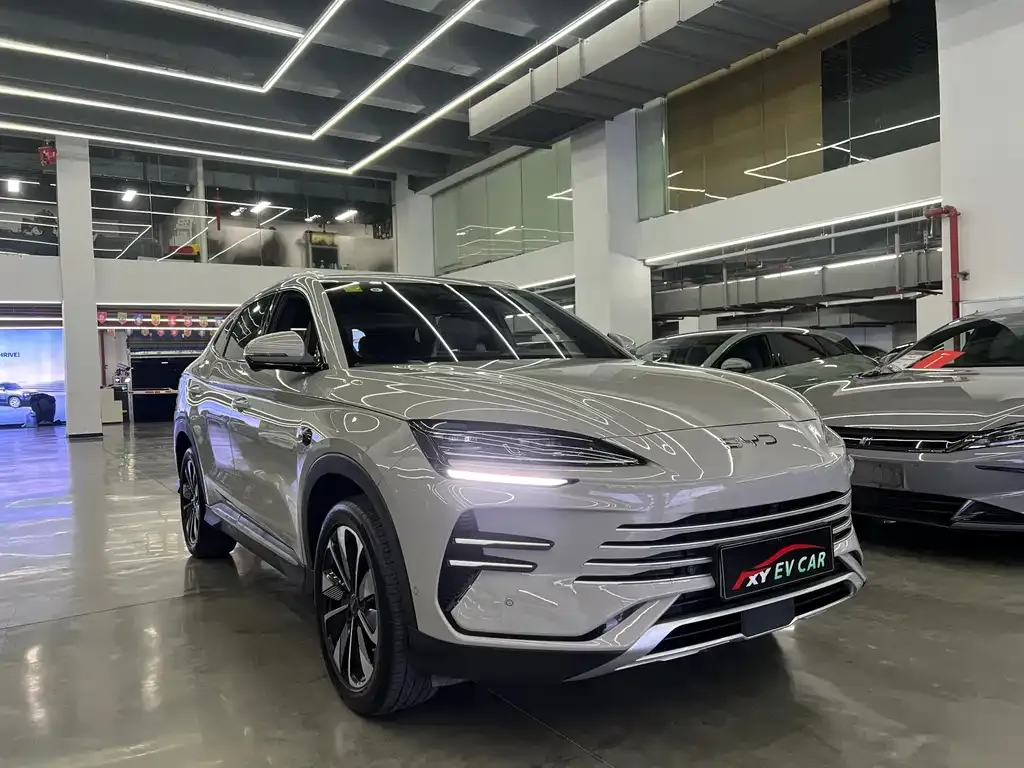 BYD PLUS New Energy — фото 5
