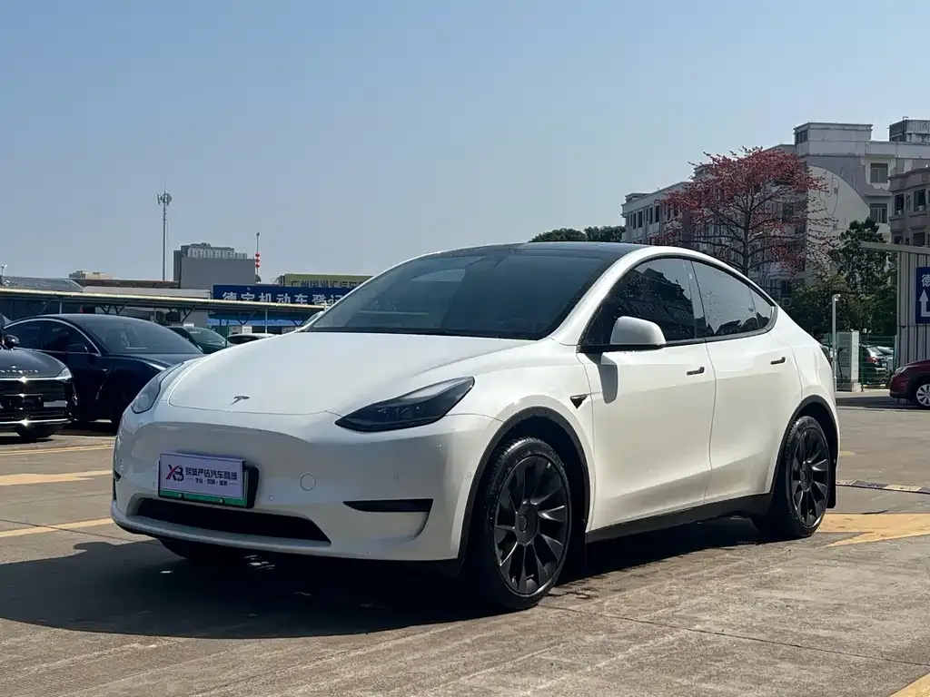 Tesla Model Y 2023 из CN, фото 1