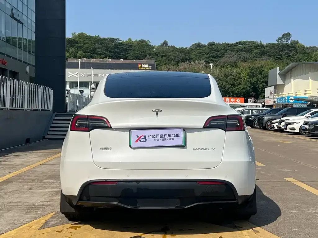 Tesla Model Y 2023 из CN, фото 3